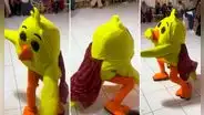 Pollito ‘chocolatero’ saca los pasos prohibidos en fiesta infantil y dicen: “Qué fue con Duolingo”
