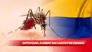 Antioquía en Alerta: aumentan casos de dengue en Colombia por fenómeno El Niño