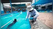 San Juan de Lurigancho: piscina municipal no es saludable para bañistas, según Digesa