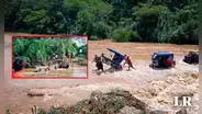 Vecinos salvan a toro de ser arrastrado por turbulentas aguas de río en Chulucanas