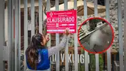 Perrito muere electrocutado tras acercarse a letrero de restaurante y autoridades clausuran local en Arequipa