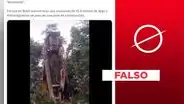 Escena de serpiente gigante no es de 2024 ni fue captada en Brasil