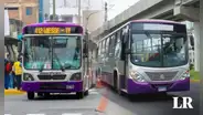 Corredor morado dejará de operar: ¿desde cuándo y qué rutas desaparecerán?