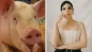 América ferrera de cuidadora de cerdo a nominada a los Oscar 2024 por su monólogo feminista en 'Barbie'