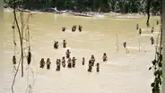 Yavarí, un corredor de Loreto bajo asedio