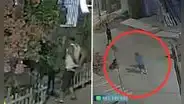 Villa El Salvador: hombre acuchilla y mata a perrito que mordió a su nieto