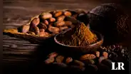 Ni México ni Perú: conoce el país de Sudamérica donde nació el cacao, según estudio