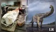 Increíble hallazgo: encuentran esqueleto de titanosaurio de 70 millones de años en Francia