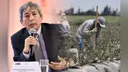 MEF descarta "rescate" total de la Ley Chlimper, pero adelanta reforma laboral del agro