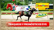 Traqueos y pronósticos 5y6 La Rinconada, 17 de marzo: datos fijos de Gaceta Hípica, Fusión Hípica y Línea Brava