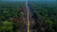 "No solo es la deforestación": ¿por qué la Amazonía peruana se acerca a un 'punto de no retorno'?