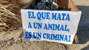 Piura: Policía detiene a hombre tras ultrajar y causar la muerte a una perrita