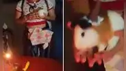 Familia venezolana le celebró cumpleaños a su cuy y en redes bromean: “En Perú, sería la torta”