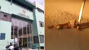 Niña queda grave tras ataque de perro pitbull en Trujillo: madre denuncia que PNP no atendió caso