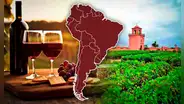 El viñedo más antiguo de Sudamérica no está en Chile ni en Argentina: fue creado hace más de 480 años