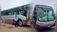Así son los nuevos buses del Corredor Morado en SJL: con aire acondicionado y para 160 pasajeros