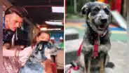'Rigo': la conmovedora historia de Dualipa, la perrita rescatada que actúa como Mijito en la serie