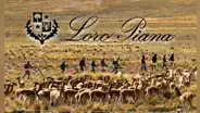 ¿Cuál fue la respuesta de Loro Piana ante reclamo de legislador de EE.UU. por explotación a comunidad peruana?