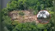 Perú perdió bosques amazónicos igual a 11 veces el distrito de San Juan de Lurigancho: ¿en qué regiones?