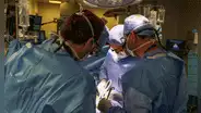 Médicos de EE. UU. logran realizar el primer trasplante de riñón de cerdo a un paciente vivo