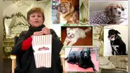 Irma Maury prefirió a sus perros antes que seguir con el elenco de ‘AFHS’, contó Efraín Aguilar
