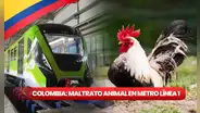 Maltrato animal en Bogotá: despiden a trabajador por quitarle la vida a un ave como parte de un ritual