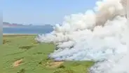 Incendio forestal en Áncash: no logran controlar siniestro desde hace 5 horas en Chimbote