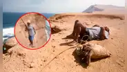 Perú tiene uno de los trabajos más desafiantes y peligrosos: solo una persona en el mundo lo hace