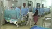 Dengue en Lambayeque: en lo que va del año, se reporta casi 4.000 casos y 12 fallecidos