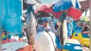 Consumo de pescado se triplicará en Semana Santa