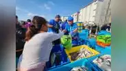 Semana Santa: el precio del bonito sigue subiendo y se vende a S/6,00 el kilo