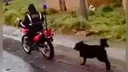 Puno: sereno amarra a un perrito herido a su moto y lo arrastra por calles de la ciudad