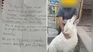 Niño se reencontró con perrito que dejó en albergue: su tierna historia es viral