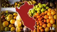 Descubre la fruta producida en Perú que Países Bajos y EE. UU. no pueden dejar de consumir: venta creció un 448%