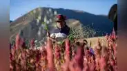 Intereses cobrados por Agrobanco a pequeños agricultores caerán de 30% a 12%, anuncia Midagri