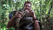 ¿Cómo es la anaconda verde, la serpiente más grande del mundo hallada muerta en el Amazonas?
