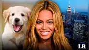 La histórica ciudad de Estados Unidos donde hay más mascotas que niños, y viven Beyoncé y Madonna