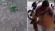 Iquitos: perrito muere tras recibir un disparo de hombre que protagonizó balacera