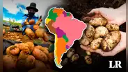 El país asiático que le ganó a Perú y Bolivia en mayor producción de papa en el mundo