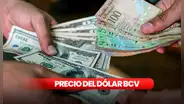 Revisa el dólar BCV HOY, sábado 6 de abril: ¿cuál es el precio del dólar en Venezuela?