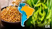 Un país de Sudamérica es el más grande productor de soya en el mundo: posee el 56% de la oferta global