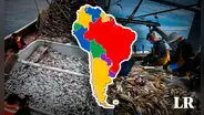 Los ÚNICOS países de Sudamérica en el top 10 de los mayores exportadores de productos pesqueros en el mundo