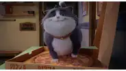 'Un gato con suerte': la sensación de Sundance llega a las pantallas de Perú