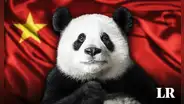 ¿Sabías que todos los pandas del mundo pertenecen a China? Solo México es dueño de uno