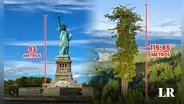 El árbol más grande del mundo está en América: con su altura supera a la Estatua de la Libertad