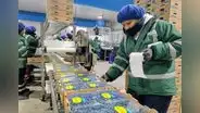 Agroexportaciones sumaron US$1.862 millones en el primer bimestre del año 2024