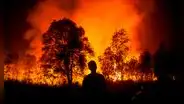 Incendios forestales en Venezuela: NASA muestra la magnitud de los siniestros