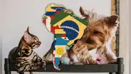 Este es el ÚNICO PAÍS de Sudamérica que daría un día libre por muerte de mascotas: faltarías al trabajo y al colegio