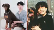 Jungkook de BTS crea cuenta de Instagram para su mascota Bam y consigue 2 millones de seguidores