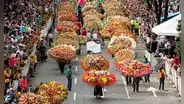 Feria de las flores 2024: cuándo inicia y quiénes participarán en la popular tradición de Medellín